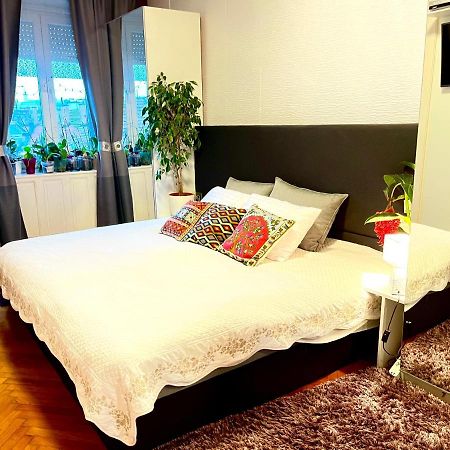 부다페스트 Margaret Bridge Cosy Flat 아파트 외부 사진
