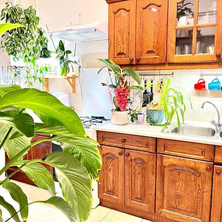 부다페스트 Margaret Bridge Cosy Flat 아파트 외부 사진