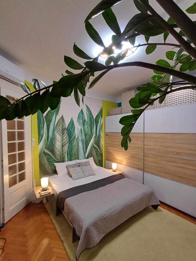 부다페스트 Margaret Bridge Cosy Flat 아파트 외부 사진