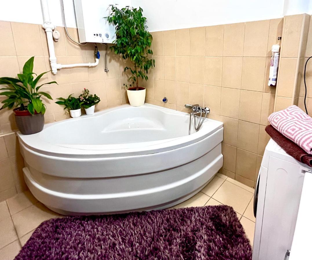 부다페스트 Margaret Bridge Cosy Flat 아파트 외부 사진